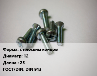 Винт с плоским концом 12х25 DIN 913, кг цена от 42.03 Тг / кг, где купить, условия доставки в Костанае и Костанайской области